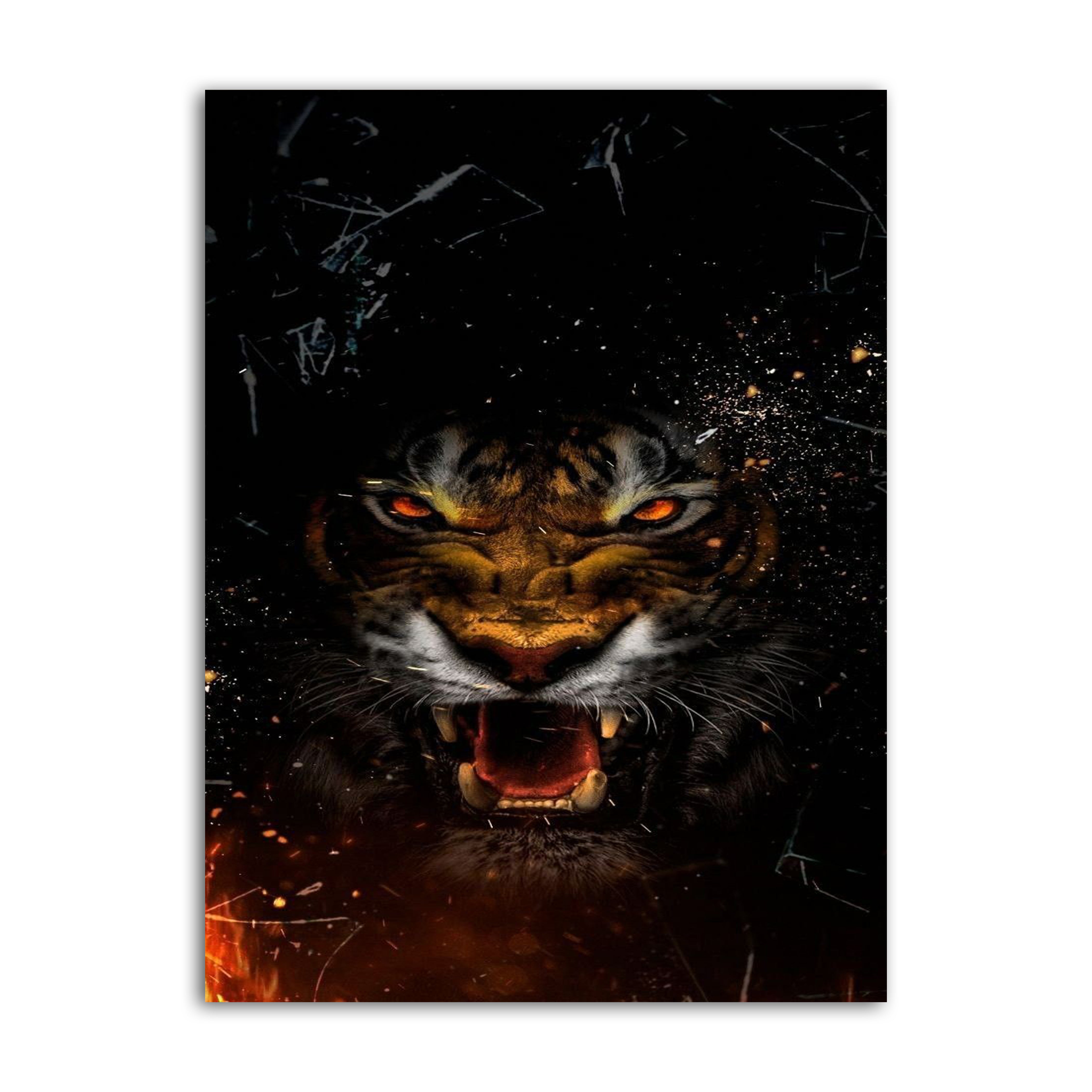 Angry Tiger Portrait