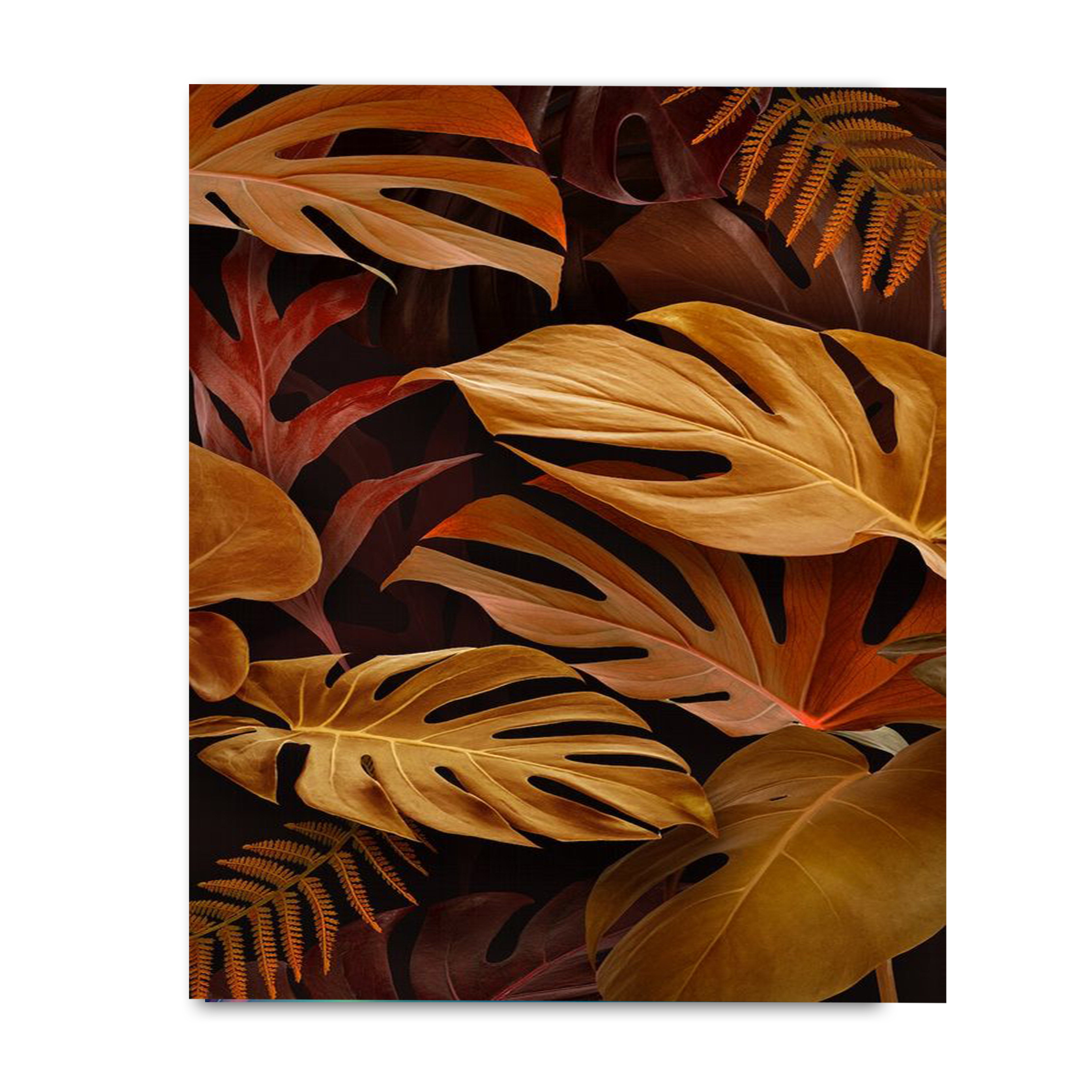 Brown Monstera Deliciosa leaves Design