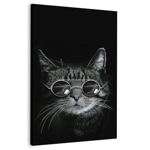 Cat With Glasses