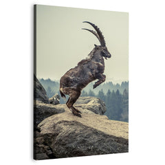 Capricorn Rock Animal Canvas